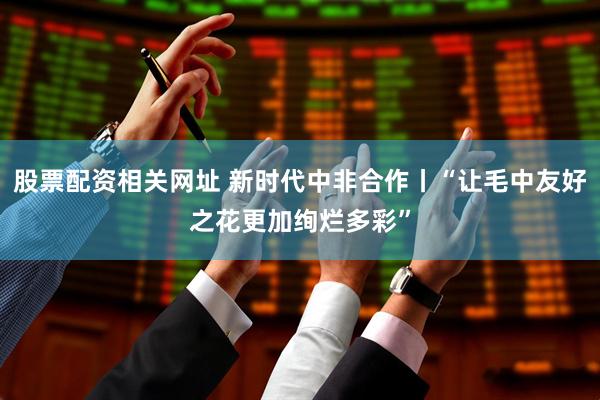 股票配资相关网址 新时代中非合作丨“让毛中友好之花更加绚烂多彩”